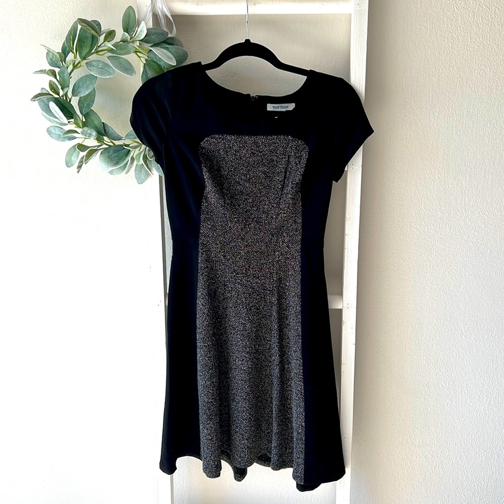 White House Black Market Blocked Skater Dress